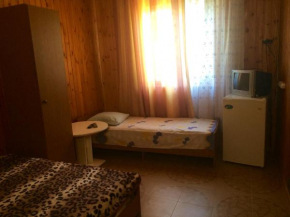 Guesthouse na Lenina 69g
